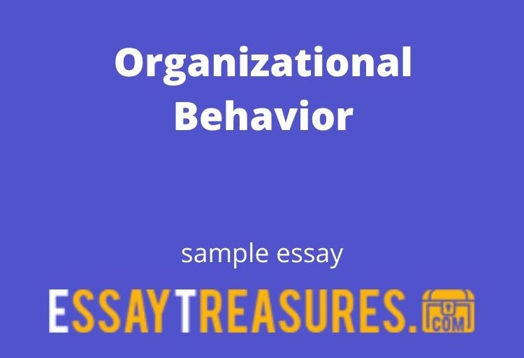 Organaizational behavior paper